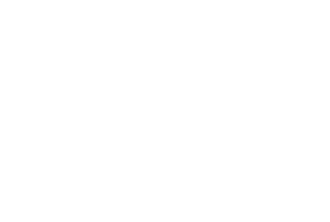 Logo Final Gryza Group_wh